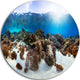 Indonesia Underwater Panorama, Photography Disc Metal Wall Art, 36"