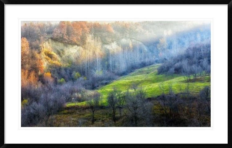 "November Colors" Framed Digital Print by Adrian Popan, 44x28"