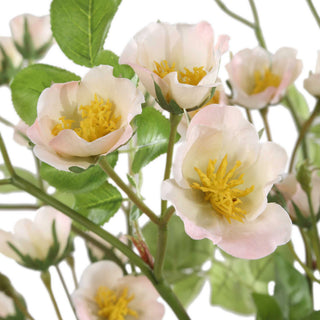 Uttermost Tranquility Lenten Rose Bouquets Set of 2