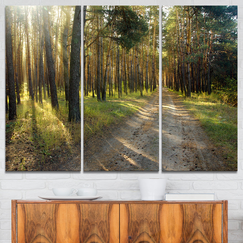 "Road Through Green Pine Forest" Photo Canvas Print, 3 Panels, 36"x28"