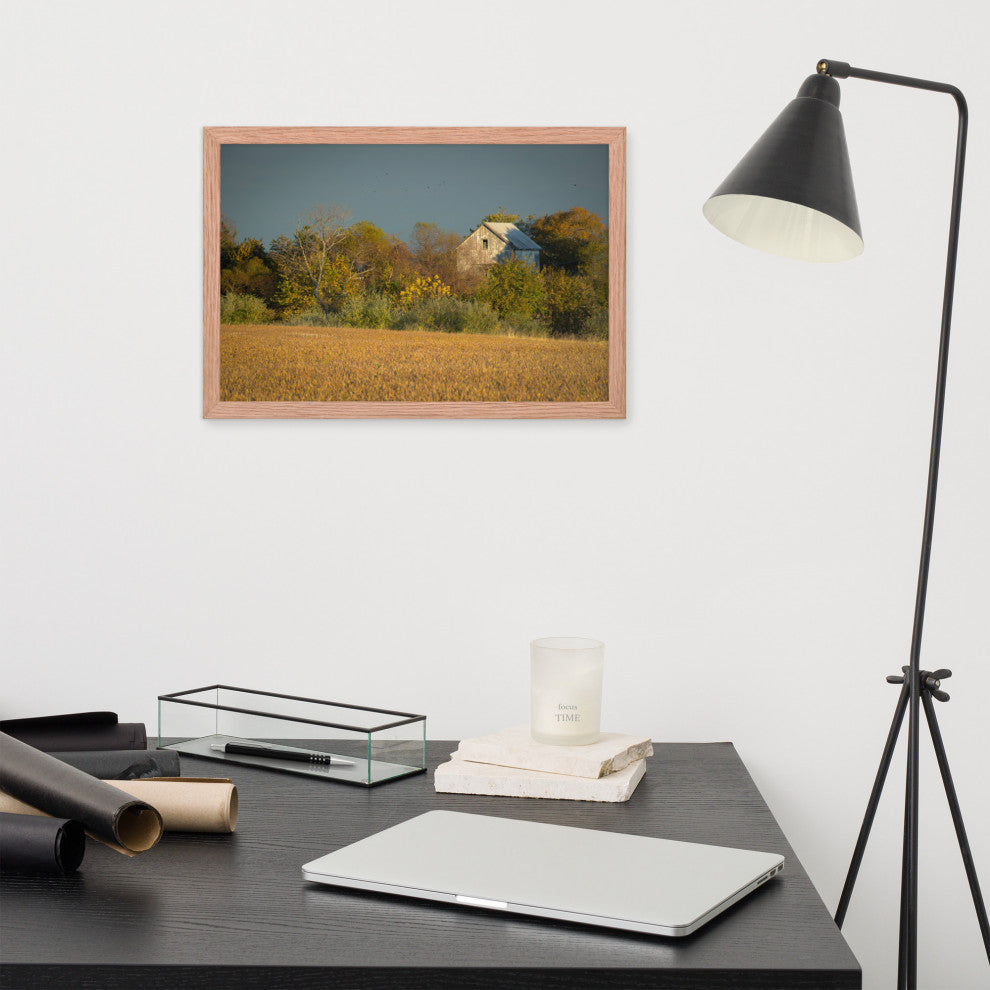 Abandoned Barn In The Trees Framed Photo Paper Wall Art Prints, Red Oak, 12" X 18"