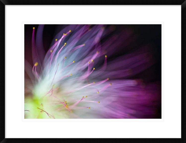 "The Will-O-The-Wisp" Framed Digital Print by Art Lionse, 30x23"