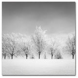 'Ice Storm' Canvas Art by Dave MacVicar
