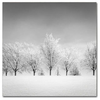 'Ice Storm' Canvas Art by Dave MacVicar