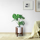Wood Plant Display Stand, 12"