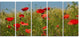 Wild Poppy Flowers in Green Garden, Floral Canvas Art print, 60"x28", 5 Panels