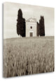 "Tuscany - 9" By Alan Blaustein, Giclee Print on Gallery Wrap Canvas