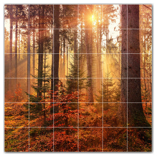 Trees Ceramic Tile Wall Mural HZ501012-66L. 48" x 48"