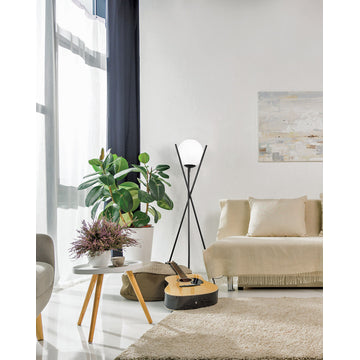 Eglo 39594A Salvezinas 59" Tall Tripod Floor Lamps - Matte Black