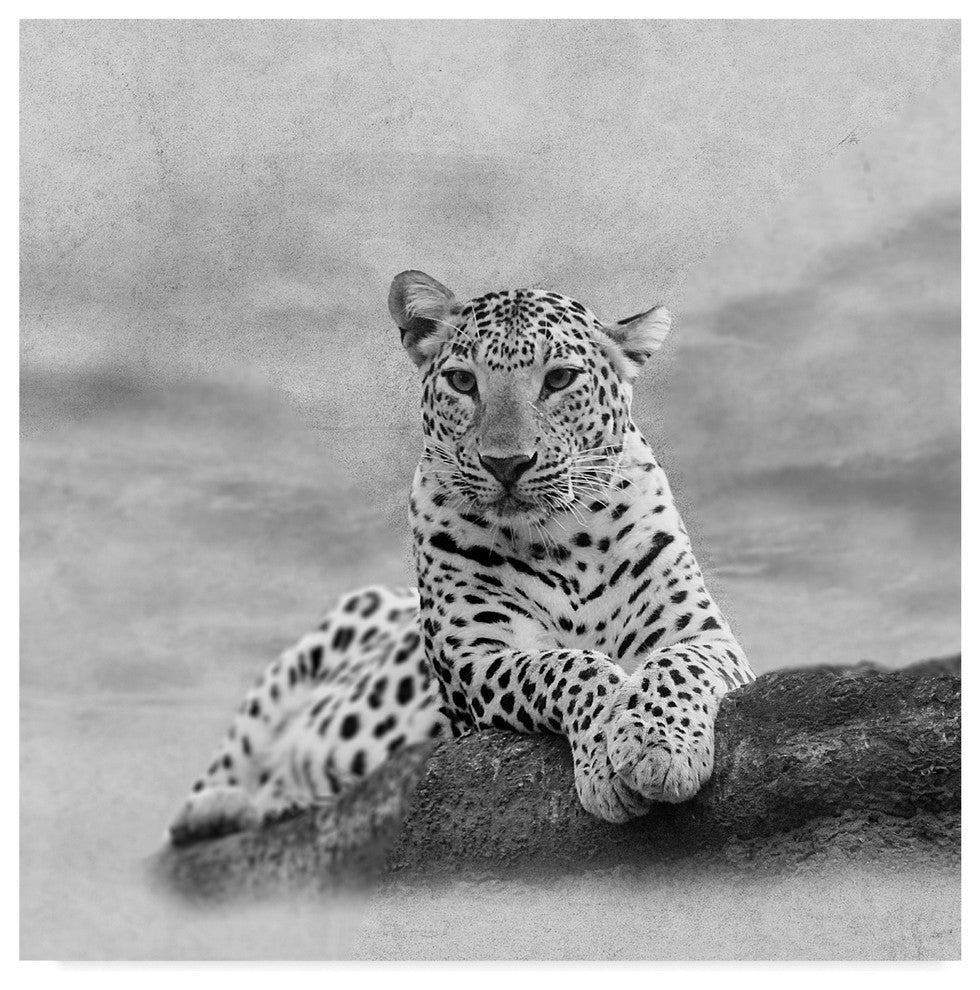 "The Leopard 2A2" by Ata Alishahi, Canvas Art, 24"x24"