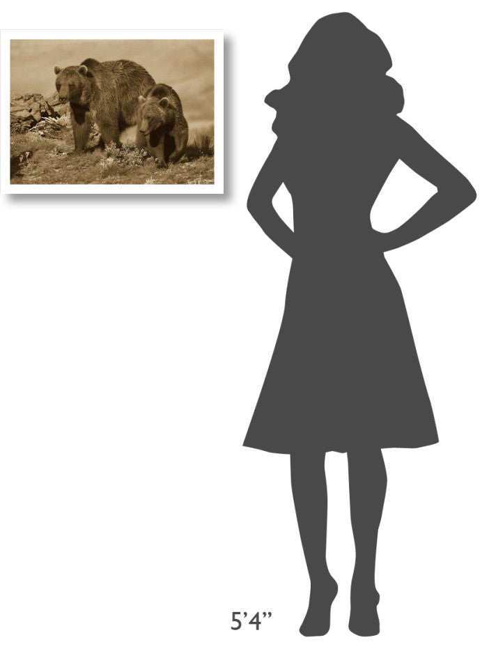 "Grizzly Bear mother with one year old cub, North America" Paper Art, 24"x17.62"