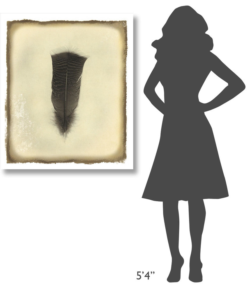 "Feather III Vintage" Digital Paper Print by Debra Van Swearingen, 32"x38"
