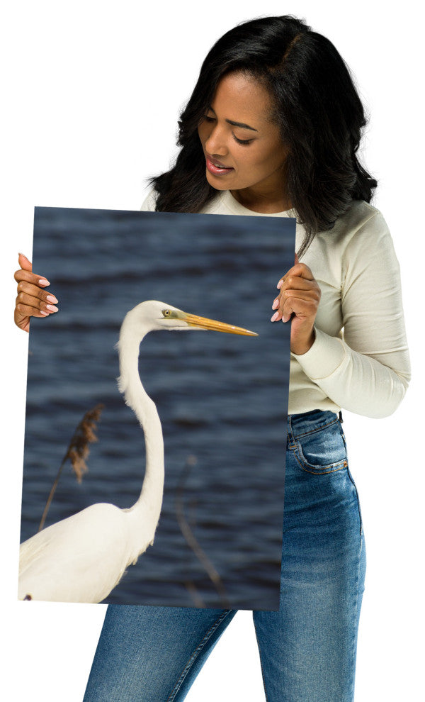 Great White Egret Wildlife Photography Unframed Wall Art Print, 12" X 18"