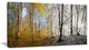Yellow Morning in Forest Panorama, Landscape Canvas Art Print, 40x20