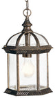 Outdoor Pendant 1-Light, Tannery Bronze, Incandescent