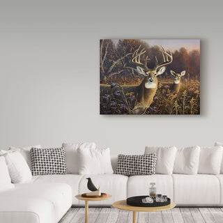 Wilhelm Goebel 'Deer' Canvas Art, 32"x24"