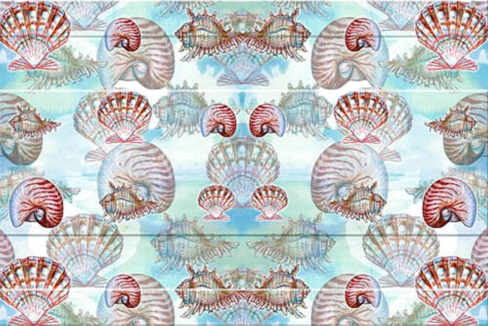 Shells Door Mat 30x50