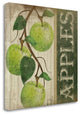 "Green Apples" By Jennifer Pugh, Giclee Print on Gallery Wrap Canvas