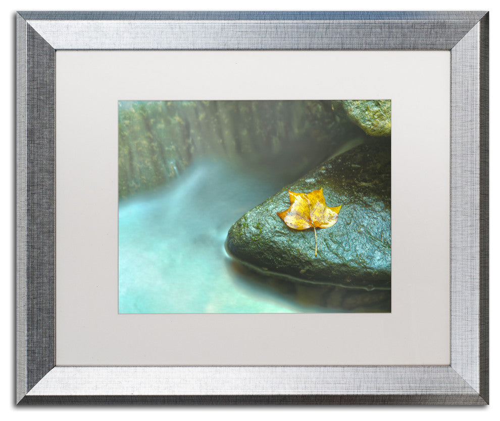PIPA Fine Art ''Misty Leaf'' Matted Framed Art, 20x16