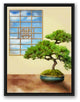 Bonsai Tree Relaxing Spa Room 18x24 Black Floating Framed Canvas