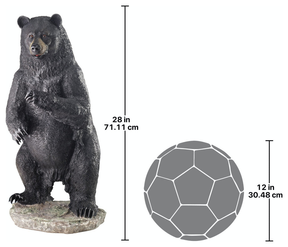 Large Fishing For Trouble Bear