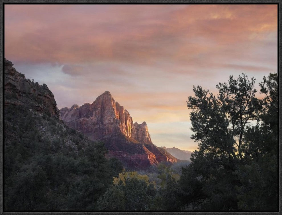 "The Watchman, Zion National Park, Utah"  by Tim Fitzharris, 25x19"