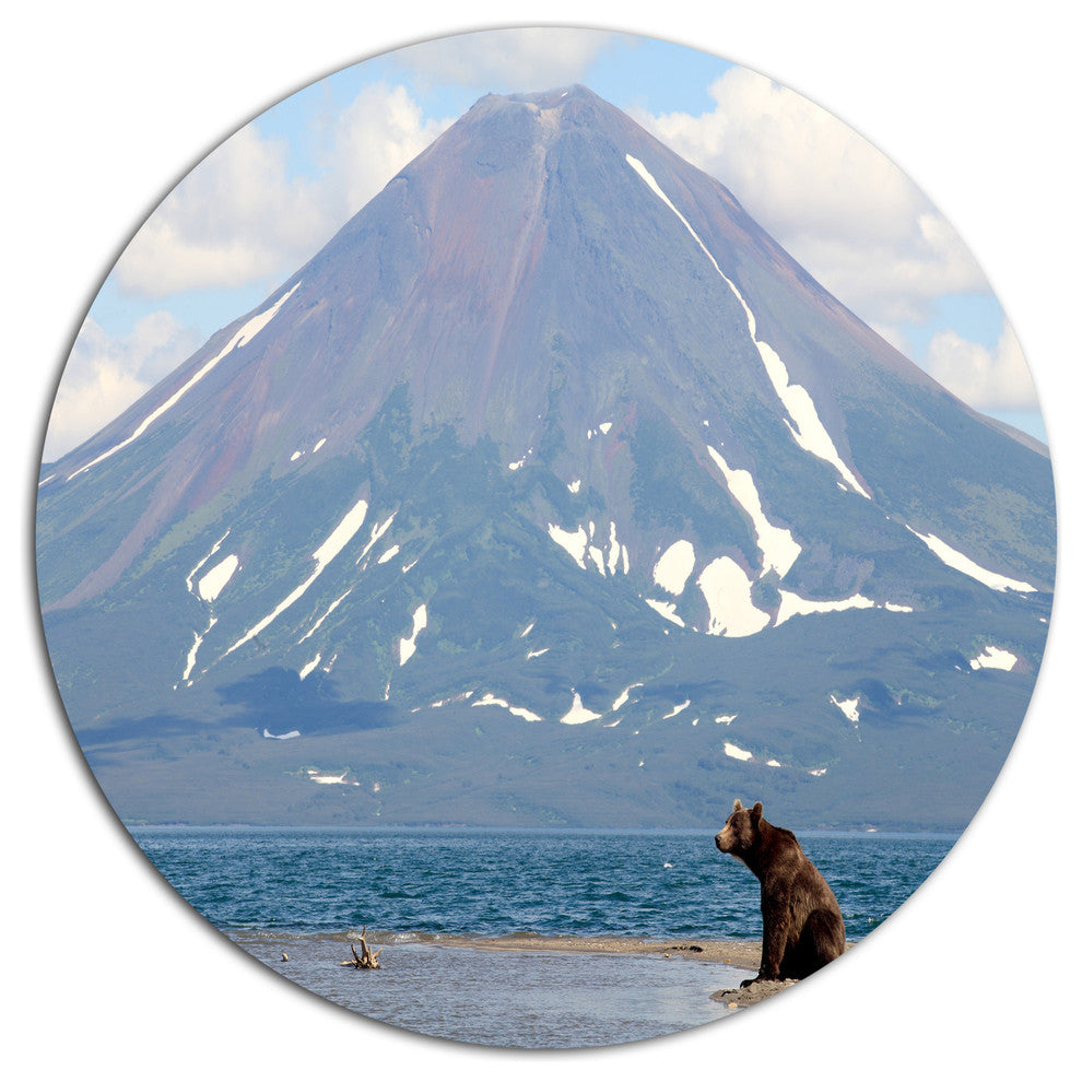 Bear In Front Of Volcano, Landscape Disc Metal Wall Art, 23"