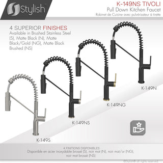 STYLISH Single Handle Pull-Down Dual Mode Kitchen Faucet in Matte Black