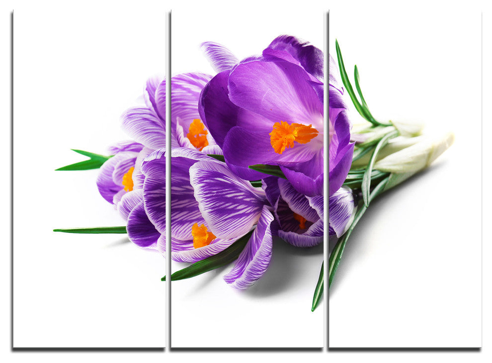 "Bunch of Blooming Crocus Flowers" Metal Wall Art, 3 Panels, 36"x28"