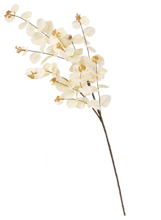White background with a cropped/zoomed-in branch segment (alternate_white_close).