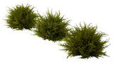7.5" Cedar Balls, Set of 3, Green