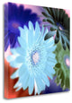 "Floral Color - 1" By Alan Blaustein, Giclee Print on Gallery Wrap Canvas