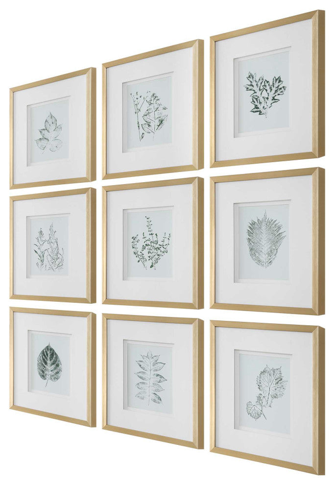 Uttermost Nature's Script Framed Botanical Prints Set of 9