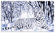 "White Tiger White Forest" Canvas Painting