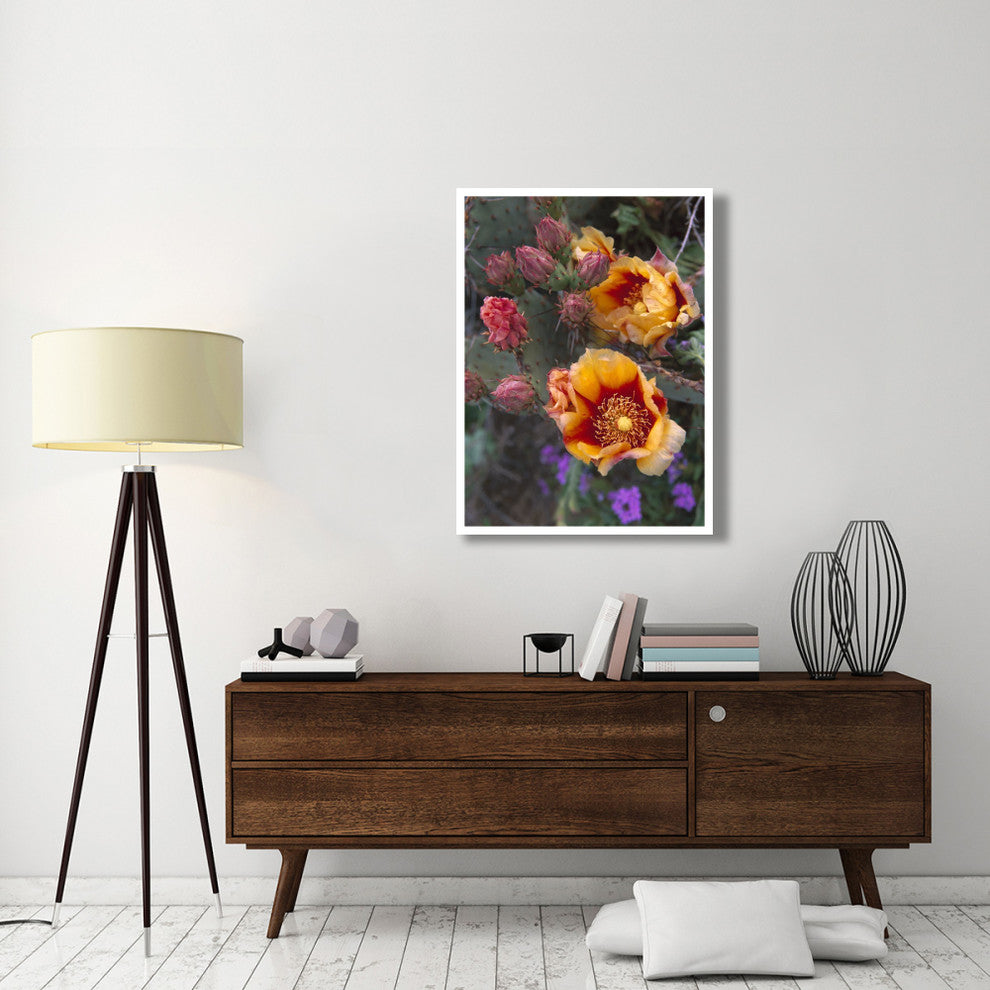 "Opuntia in bloom, North America" Digital Paper Print by Tim Fitzharris, 32"x42"
