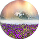 Spring Crocus Flowers, Landscape Photo Round Wall Art, 38"