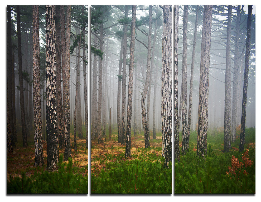 "Dense Misty Forest" Photography Canvas Print, 3 Panels, 36"x28"