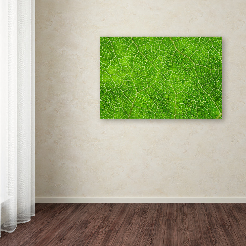 Cora Niele ''Leaf Texture VII'' Canvas Art