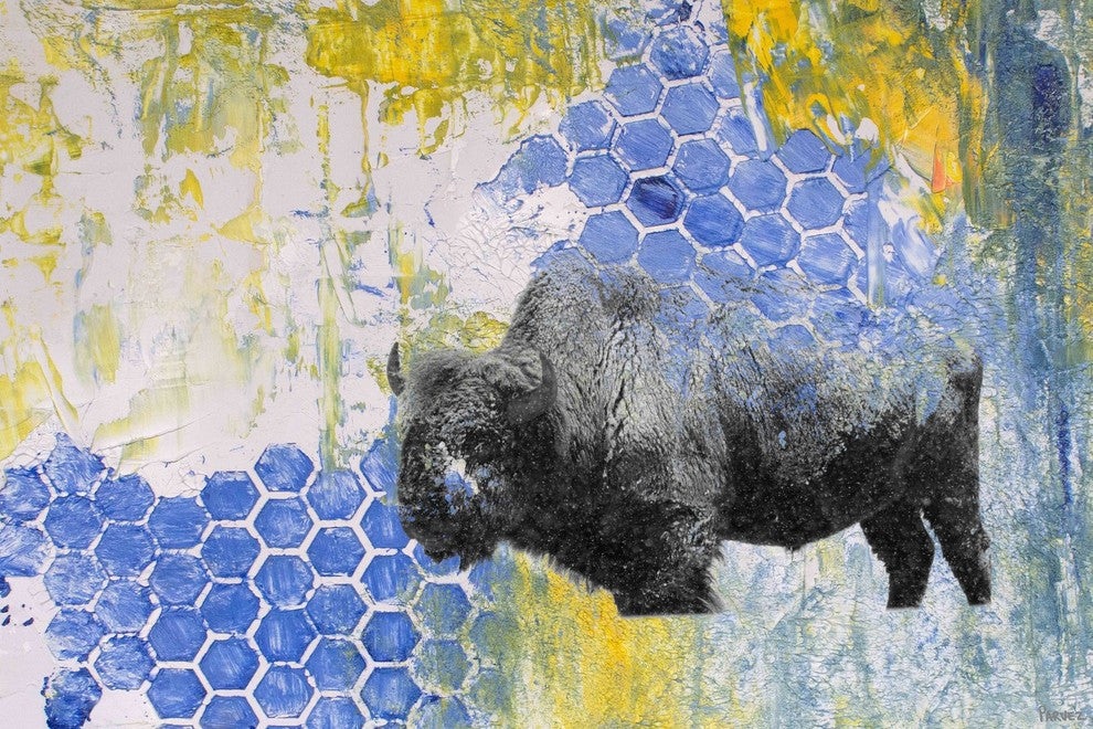 "Buffalo Honeycomb" Painting Print on Wrapped Canvas, 24"x16"