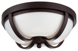Andrew 2-Light LED Flushmount, Bronze Finish