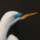 Heron Silhouette SigH Framed Canvas Print, 40"Wx60"H2"D