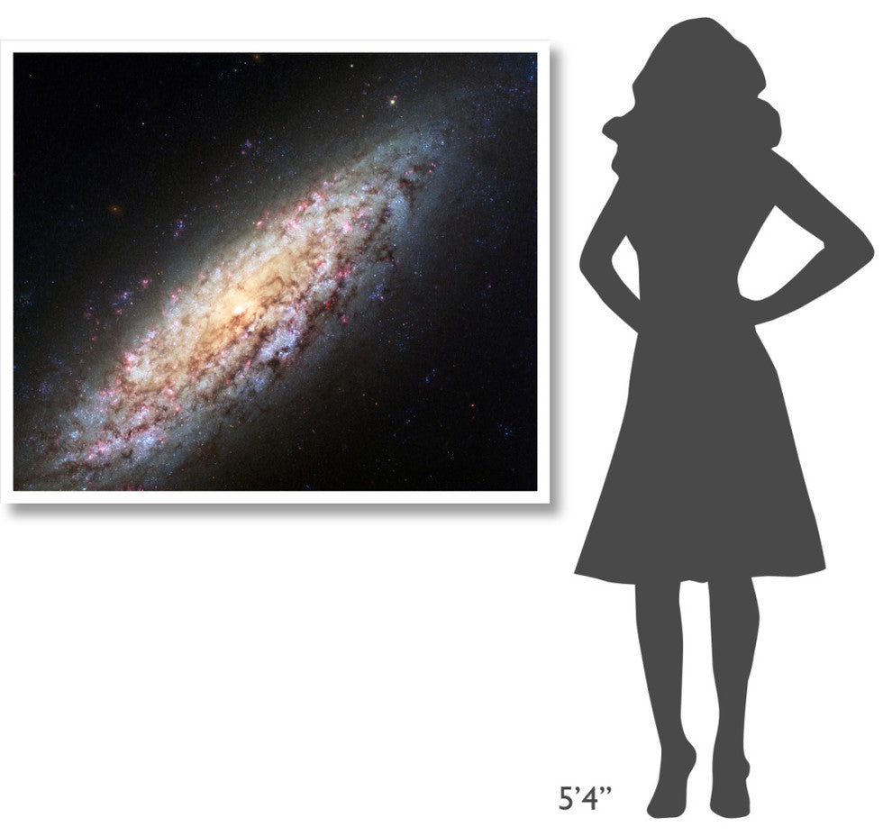 "Spiral Galaxy NGC6503" Digital Paper Print by NASA, 46"x39"