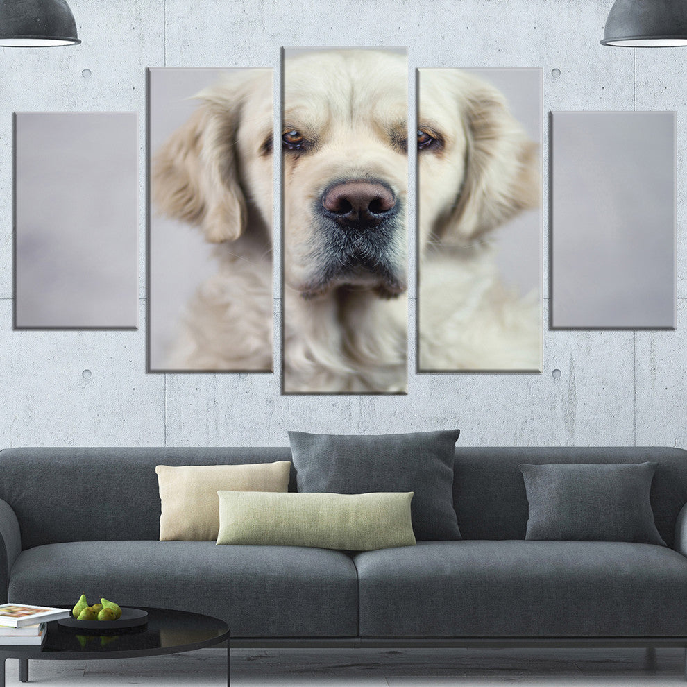 Sad Looking Beautiful Dog, Animal Canvas Art Print, 60"x32", 5 Panels