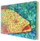 Spotted Grouper Canvas Art, 16"x20"