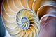 "Swirl" Paper, 24"x36"