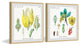 "Isn't Cute? Diptych" Framed Prints, 12"x12", 2-Piece Set