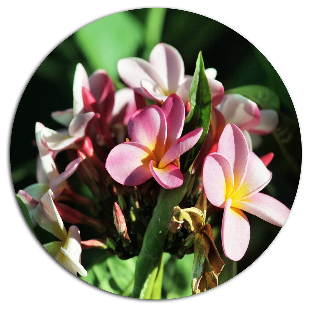 Beautiful Little Pink White Flowers, Floral Round Wall Art, 36"