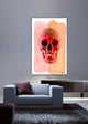 "Skull" Fine Art Canvas Print, 16"x24"