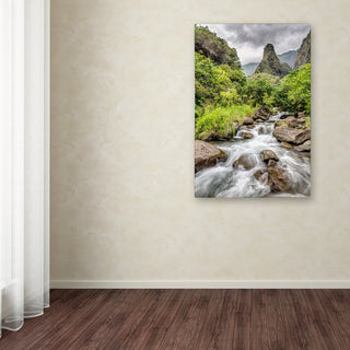 Pierre Leclerc 'Iao Valley Maui' Canvas Art, 24x16