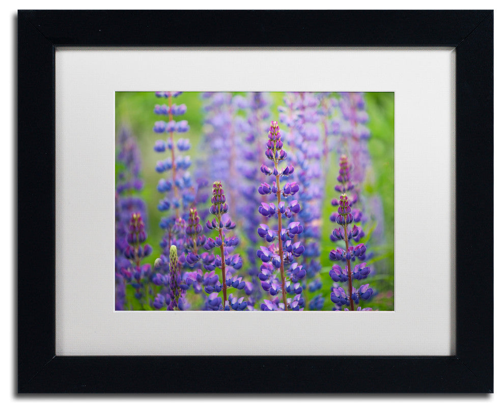 Cora Niele ''Blue Lupine Flowers'' Matted Framed Art